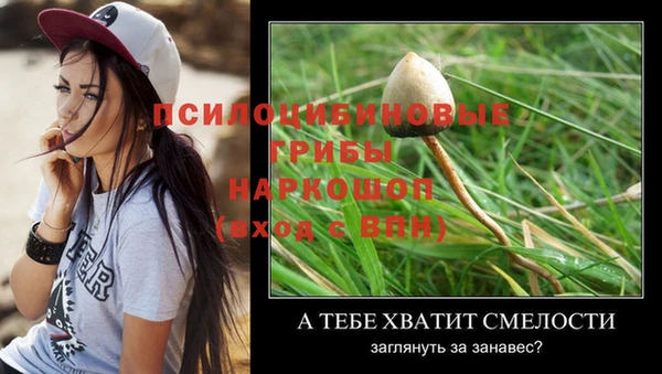 спайс Зерноград