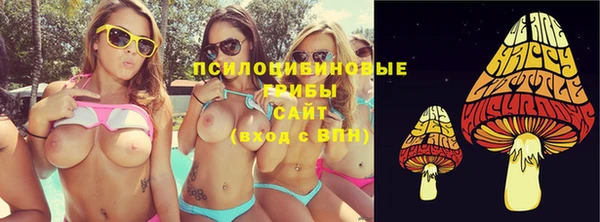 прущие крисы Зеленодольск