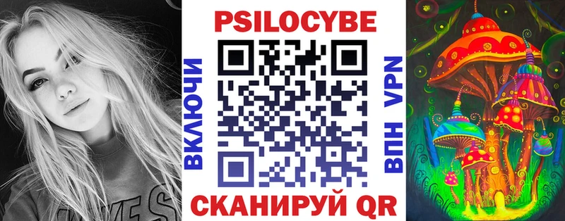 Псилоцибиновые грибы GOLDEN TEACHER  kraken сайт  Черкесск 